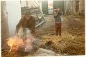 1972-Matança-Pedra Lavar o Porco